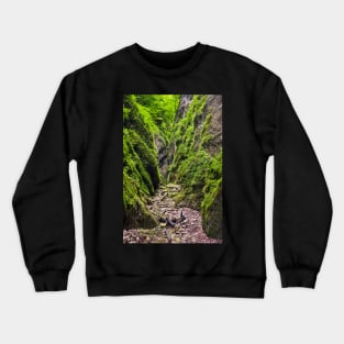 A beautiful view of a narrow wild canyon Crewneck Sweatshirt